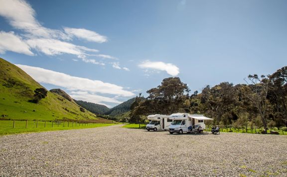 Two campervans parked inside Rewanui Forest Park in Wairarapa, with big green hills in the background.