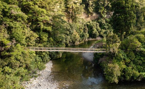 A long suspension bridge above a river, surrounded by Native bush and trees in the Kaitoke Regional Park.