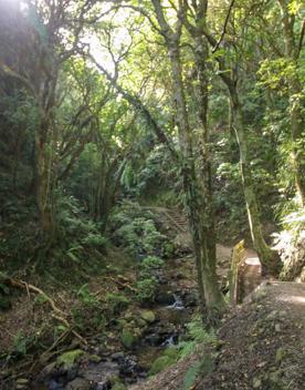 The Percy Scenic Reserve, features walking tracks, lawns, native bushes, gardens, and a large waterfall.