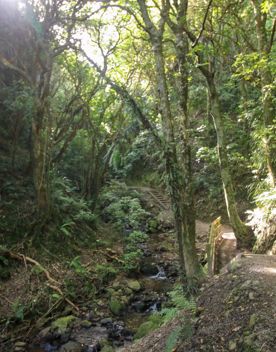 The Percy Scenic Reserve, features walking tracks, lawns, native bushes, gardens, and a large waterfall.