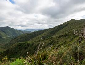 The screen location of Remutaka Summit, wit views of surrounding peaks, lush green bush and steep roads cut into the sides of the mountains.