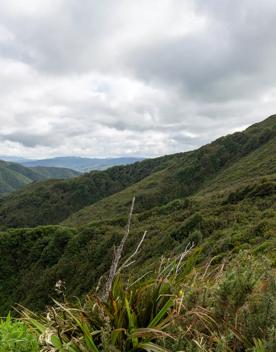 The screen location of Remutaka Summit, wit views of surrounding peaks, lush green bush and steep roads cut into the sides of the mountains.