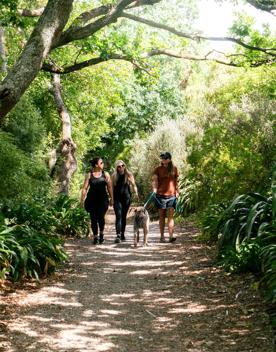 Three people and a dog walking on the Greytown to Woodside Trail.