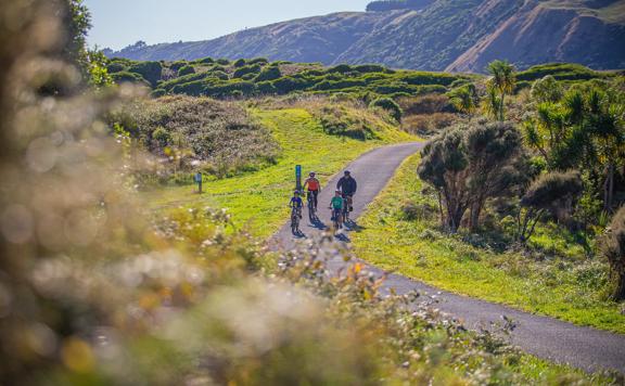 Four people ride bicycles on a path in Queen Elizabeth Regional Park in the Paraparaumu, New Zealand surrounded by nature. 