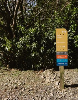 A section of dirt road on the Farm Road in Ngā Ara o Rangituhi, Porirua.
