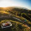 Three mountain bikers ride along the Bathtub Track at Whareroa Farm as the sun crosses the horizon.