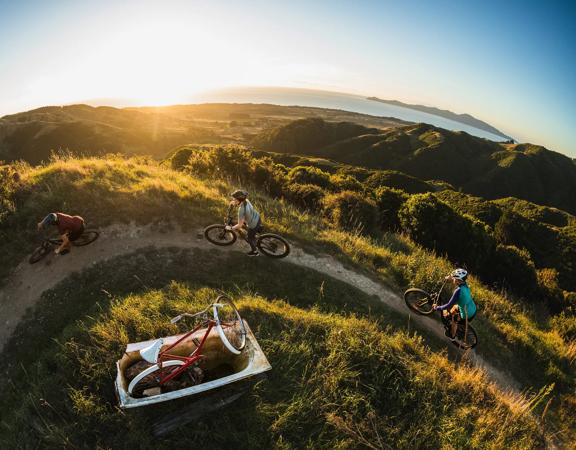 Three mountain bikers ride along the Bathtub Track at Whareroa Farm as the sun crosses the horizon.