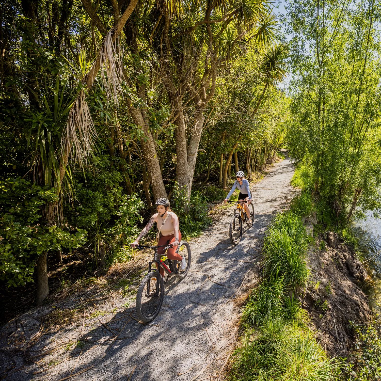 Two cyclists ride along the Waikanae River Trail on a sunny day.