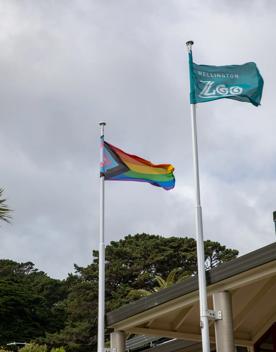 One LGBTQIA+ flag (left) and a teal Wellington Zoo flag (right) blow in the wind with trees and a cloudy sky in the background.