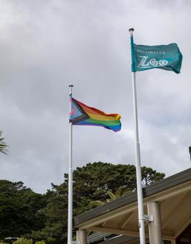 One LGBTQIA+ flag (left) and a teal Wellington Zoo flag (right) blow in the wind with trees and a cloudy sky in the background. 
