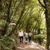 Two kids and an adult walking through a trail at Ōtari-Wilton's Bush.