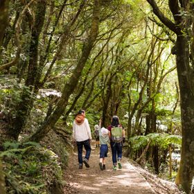 Two kids and an adult walking through a trail at Ōtari-Wilton's Bush.