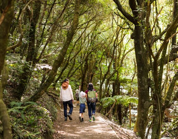 Two kids and an adult walking through a trail at Ōtari-Wilton's Bush.