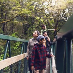 Two adults and two kids cross a bridge surrounded by trees on the Gentle Annie Track to Mount Holdsworth in Tararua Forest Park.