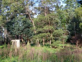 Mangaroa Valley Road screen location, a scenic rural setting with native forest, farmland, and a mountainous backdrop.