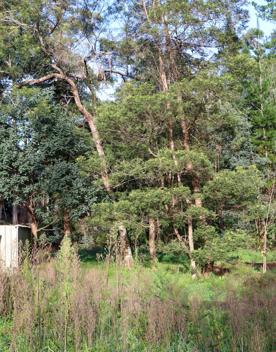 Mangaroa Valley Road screen location, a scenic rural setting with native forest, farmland, and a mountainous backdrop.