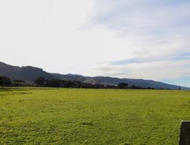 The rural Western Lake road, which connects the Remutaka Range to Lake Wairarapa, features lush green fields and mountains.