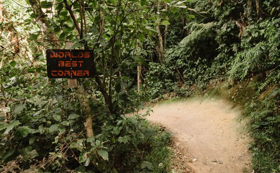 A secton of the Ikigai trail in Waimapihi Reserve. The mountain bike track has a clay surface with wooden platforms and views of Wellington.