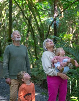 Two adults and two children stand in a forest looking upward.