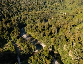 A birds eye view of Kaitoke Regional Park with the Hutt River cutting through the lush green trees.