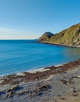 A quaint seaside village at the base of dramatic cliffs, Mākara is just 30 minutes from Wellington’s city centre. On its rugged western coast is a seaside village and a gently sloping, stony beach.