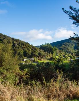 Camp Wainuiomata screen location. Has several buildings and is surrounded by forest and bush.