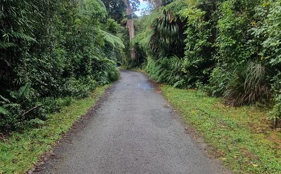 Compacted gravel surface on the Swingbridge Track.