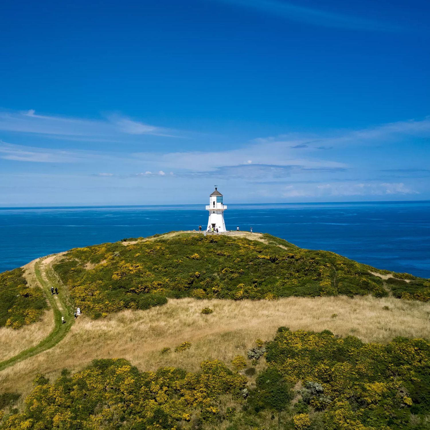 The trail around Pencarrow Lakes and Eastbourne Lighthouse. Green hills meet with the blue ocean and lakes, and the white lighthouse is in the distance.