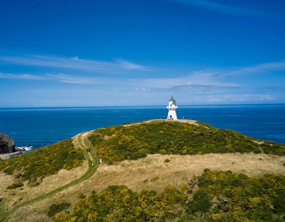 The trail around Pencarrow Lakes and Eastbourne Lighthouse. Green hills meet with the blue ocean and lakes, and the white lighthouse is in the distance.