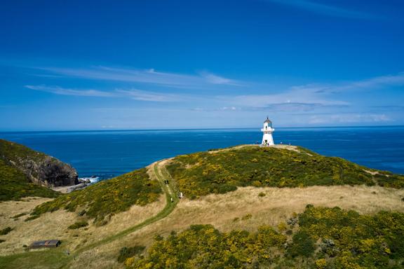 The trail around Pencarrow Lakes and Eastbourne Lighthouse. Green hills meet with the blue ocean and lakes, and the white lighthouse is in the distance.