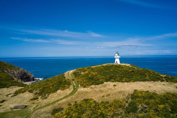 The trail around Pencarrow Lakes and Eastbourne Lighthouse. Green hills meet with the blue ocean and lakes, and the white lighthouse is in the distance.