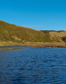 A quaint seaside village at the base of dramatic cliffs, Mākara is just 30 minutes from Wellington’s city centre. On its rugged western coast is a seaside village and a gently sloping, stony beach.