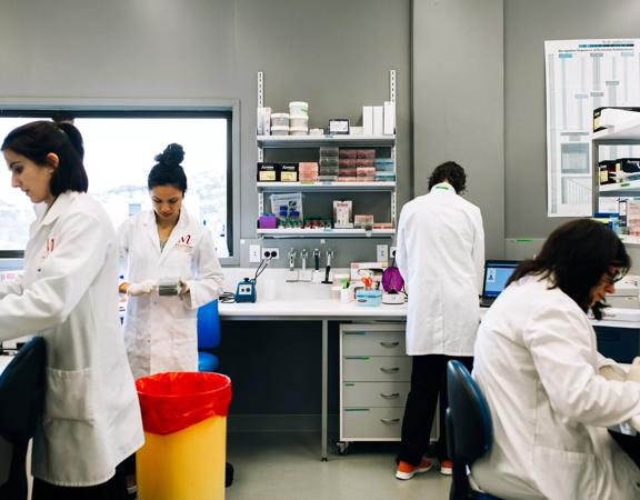 Four people in white lab coats are working in a medical lab.