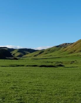 A short drive from the city is a stunning venue. Perched on a rugged coastline, it has sweeping views over the Cook Strait and the South Island.