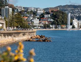 Oriental Bay in Wellington.
