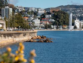 Oriental Bay in Wellington.