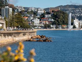 Oriental Bay in Wellington. 