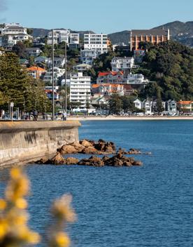 Oriental Bay in Wellington. 