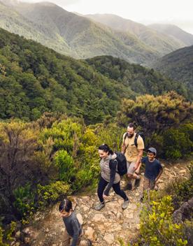 Two adults and two kids hike the Gentle Annie Track to Mount Holdsworth in Tararua Forest Park.