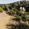 A section of the Wētā mountain bike track in Belmont Regional Park. The dirt track winds around burms, and through gorse bush.
