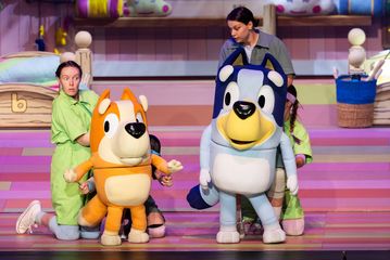 Bluey's Big Play at TSB Arena in Wellington
