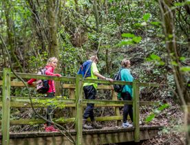 Three people dressed in pink, green and blue shirts with backpacks on walking across a wooden bridge, surrounded by native forest.