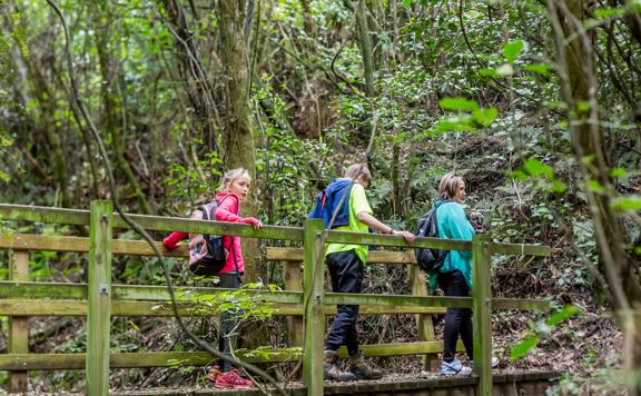 Three people dressed in pink, green and blue shirts with backpacks on walking across a wooden bridge, surrounded by native forest.