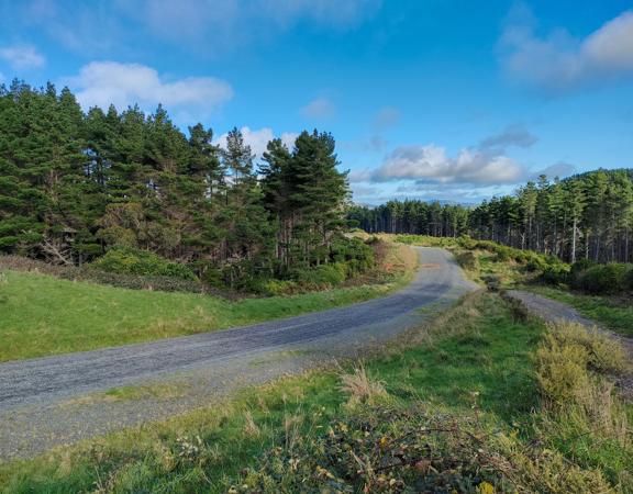 The rural, scenic screen location of Broken Hill Road, with green fields and lush forests surrounding.