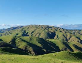 A short drive from the city is a stunning venue. Perched on a rugged coastline, it has sweeping views over the Cook Strait and the South Island.