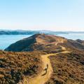 A drone shot of the Pencarrow Lighthouse Trail in Lower Hutt with two cyclists riding on the grassy path. 