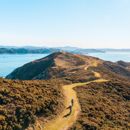 A drone shot of the Pencarrow Lighthouse Trail in Lower Hutt with two cyclists riding on the grassy path.