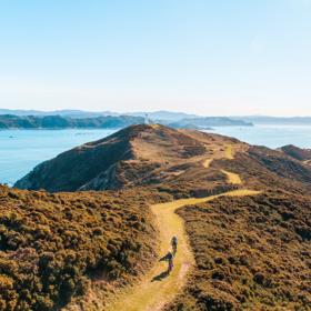 A drone shot of the Pencarrow Lighthouse Trail in Lower Hutt with two cyclists riding on the grassy path. 