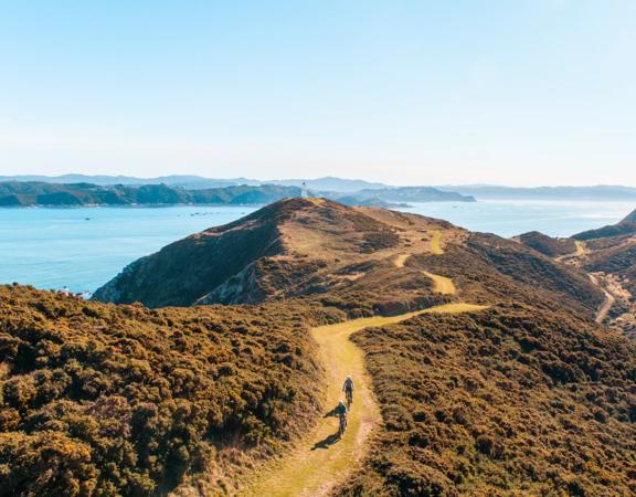 A drone shot of the Pencarrow Lighthouse Trail in Lower Hutt with two cyclists riding on the grassy path. 