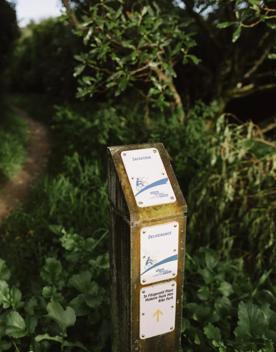 A section of the Salvation Bush Walk on Wrights Hill above Karori.